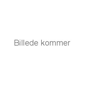 3M skydebriller